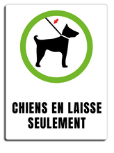 Load image into Gallery viewer, Chien en laisse seulement
