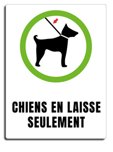 Chien en laisse seulement